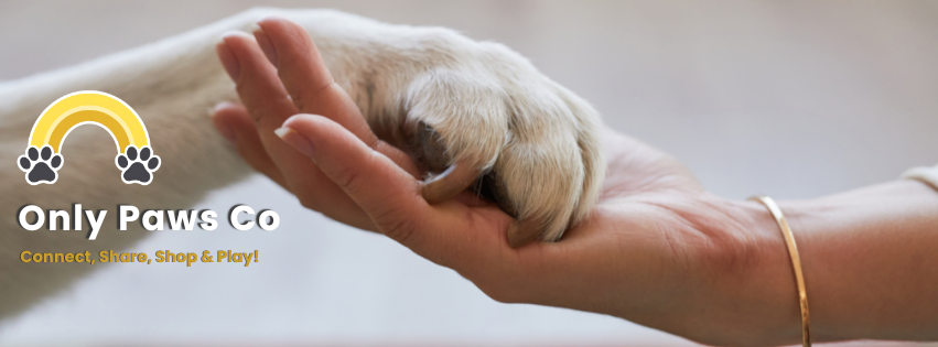 Connecting Paws with Care