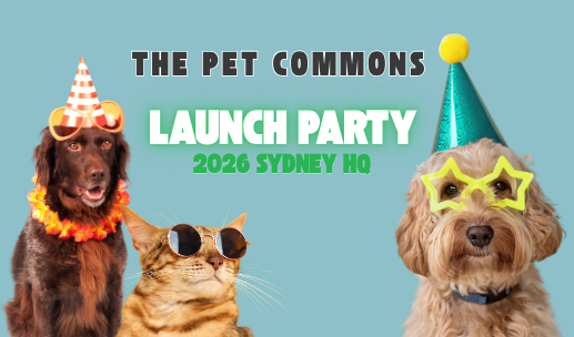 Launch Party